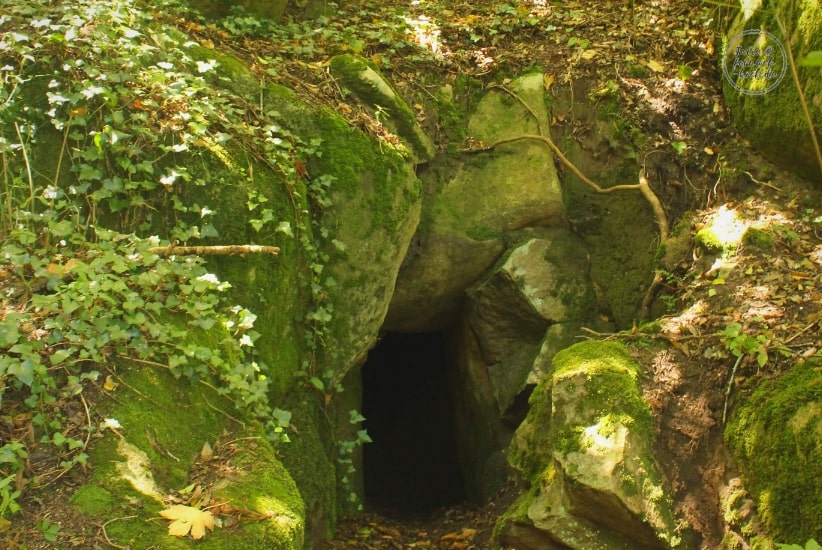 Tunnel im Park des Pena Palast Sintra Tunnel im Park des Pena Palast Sintra
